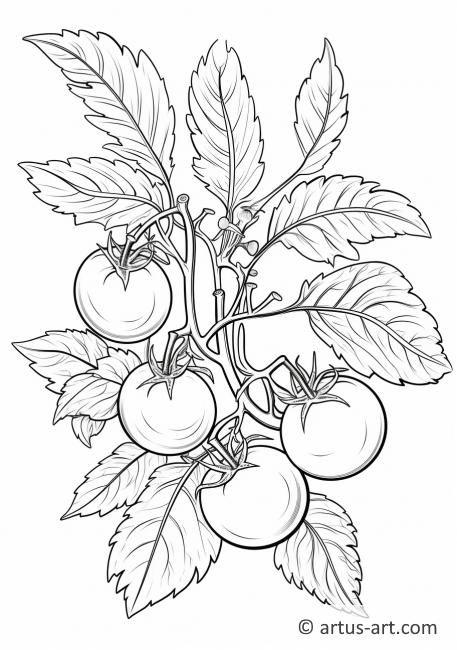 Tomato in a Garden Coloring Page
